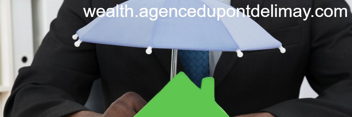 wealth.agencedupontdelimay.com